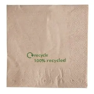Disposable Servetten - 2 Laags - Gerecycled - 2000 stuks - 32x33cm Hoge Kwaliteit