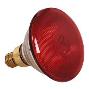 Superprijs Warmtelamp Rood - 175W - Infrarood