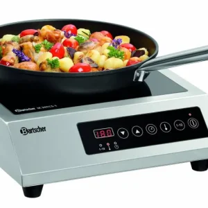 Must-Have Inductie Schott Ceran Kookplaat - 3000W - Ø230mm Kookpit - 330x420x(H)105mm