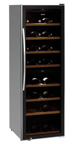 Wijnkoelkast Zwart - Geluidloos Model - 2 Temperatuurzones - 600x750x1860(h)mm Koop Vandaag