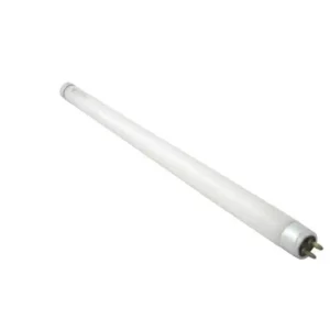 Néon Pour BT300314 Populair