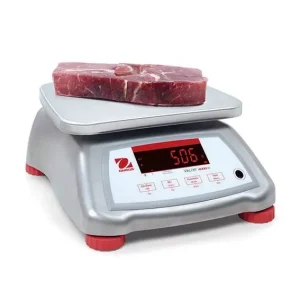 Valor 4000 Weegschaal - Max 15kg Weergave per 2G - RVS Uitvoering met RVS Plateau - 242x190mm Gratis Retour