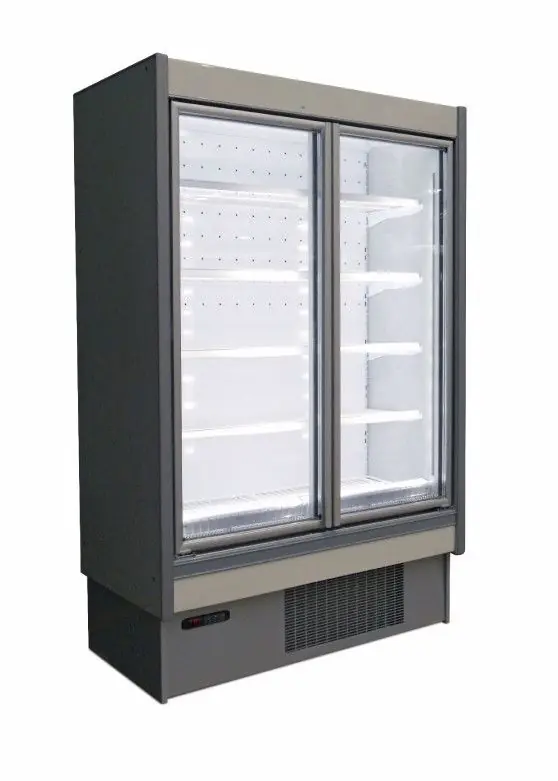 Korting Oscartielle Wandkoelingen - Wandvriesmeubelen - -18°C/-20°C - DIONE DOORS GI 135 BT