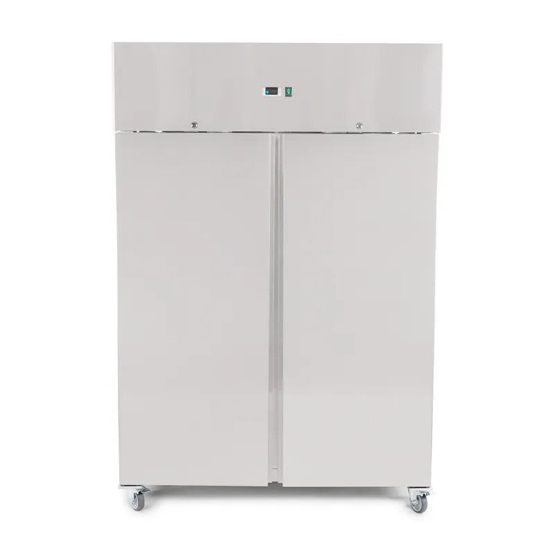 Direct Beschikbaar Statische koelkast - 1200L - 2 deuren