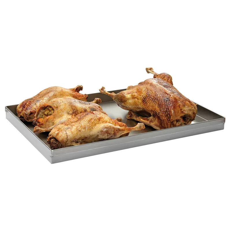 Vetopvangbak 600x400mm Betrouwbaar