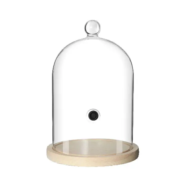 Glazen Stolp voor Cocktail-Smoker SMKDV01 Bestel Nu