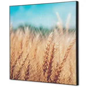 Wanddecoratie graanveld - 400x400mm Shop Nu
