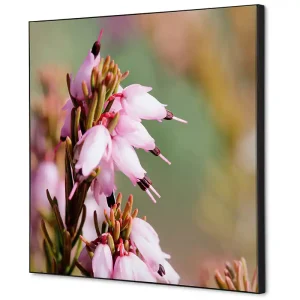 Express Levering Wanddecoratie bloem Erica - 400x400mm