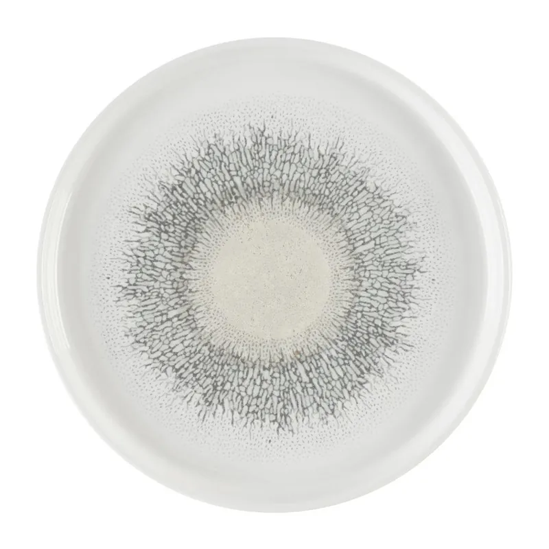 Speciale Aanbieding Churchill Studio Prints Fusion Grey bord met opstaande rand 25.9 cm pak van 6