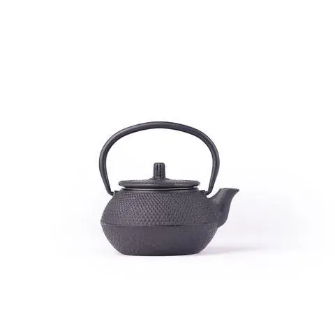 Theepot + filter 300ml Shanghai Alleen Vandaag