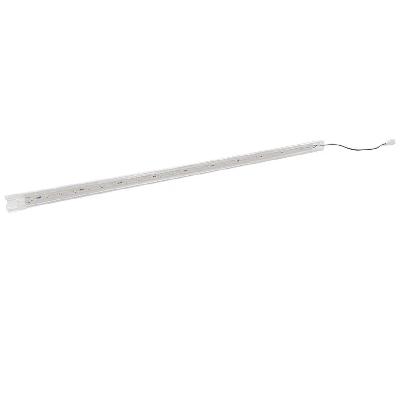 Alleen Vandaag Polar Led-Licht