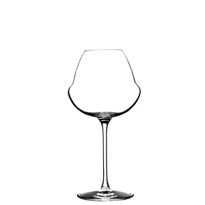 Bierglas - Oenomust 42 cl - 6 stuks Finale Uitverkoop