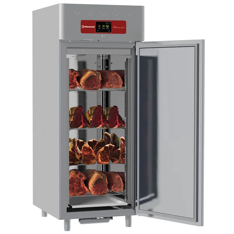 Tijdelijk Beschikbaar Rijpingskast dry aging voor vlees 850 liter geventileerd, 1 deur 20x GN 2/1