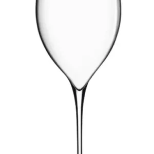 Wijnglas Magnifico 59 cl Seizoensaanbieding