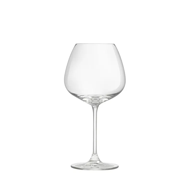 Betrouwbaar Wijnglas Experts Collection 383027 55 cl