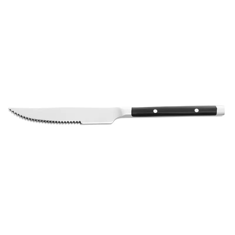 Steakmessenset BISTRO TREND, 21 cm, met kunststofhandvat, set van 12 stuks, roestvrij staal 13/0 Lage Kosten