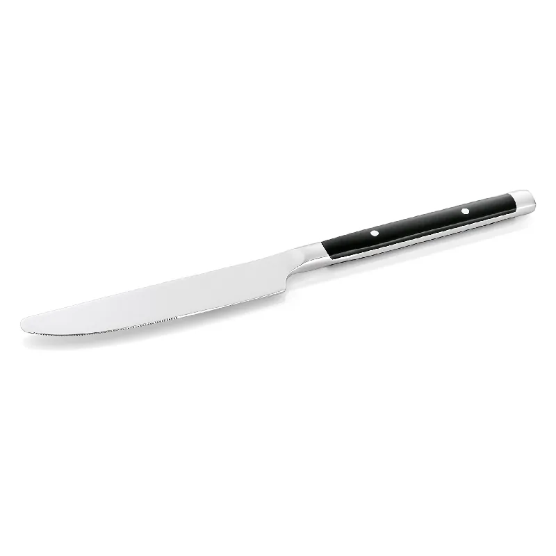 Bestel Nu Tafelmes Set BISTRO TREND, 22,5 cm, met kunststofhandvat, set van 12 stuks, chroomstaal 13/0