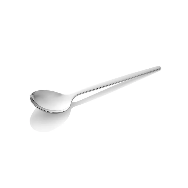 Soeplepelset ALEX SILVER, gepolijst roestvrij staal, 18 cm, set van 12 stuks, chroom-nikkelstaal 18/10 Meest Verkocht