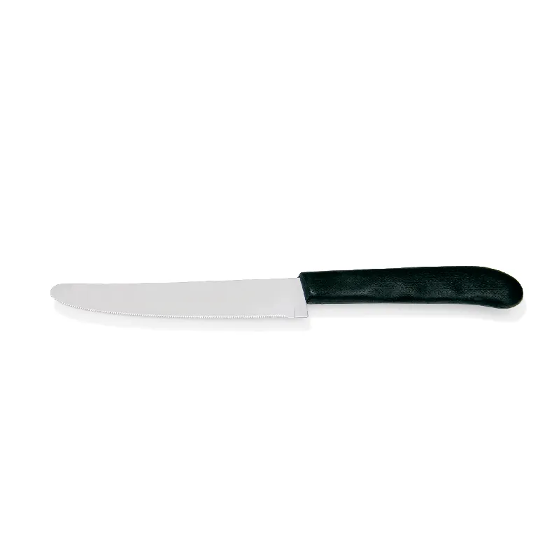 Steakmessen-set met kunststofhandvat, 22 cm, Set van 6 stuks, roestvrij staal Bestel Nu