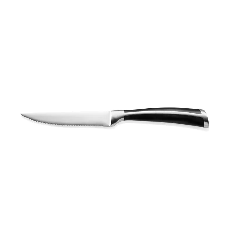Steakmessenset, met ABS kunststofhandvat, 23,5 cm, Set van 6 stuks, ABS kunststof, roestvast staal 13/0 Bestel Nu