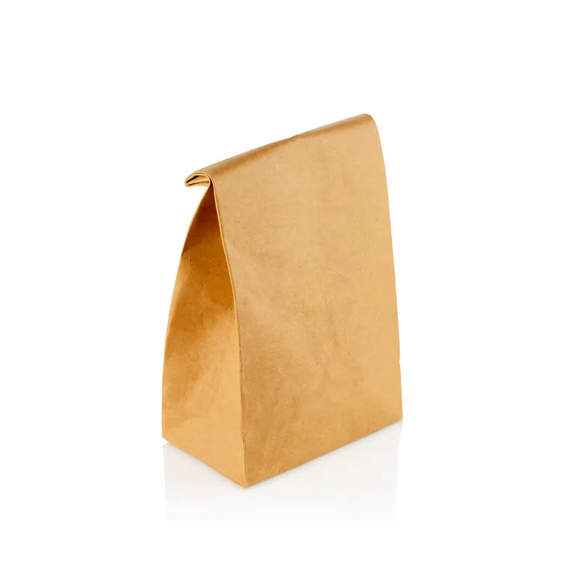 Lunchbag-set met sluiting, 32 x 16 x 10 cm, Set van 2 stuks, papier Seizoensaanbieding