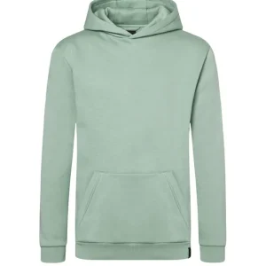 Betaalbaar Heren Workwear Sweat Hoodie Soft-Face, Gemaakt Van Duurzaam Materiaal - Pistachegroen - L