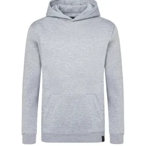 Koop Vandaag Heren Workwear Sweat Hoodie Soft-Face, Gemaakt Van Duurzaam Materiaal - Platinagrijs Gemêleerd - L