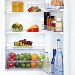 Beko TS190030N koelkast Favoriet