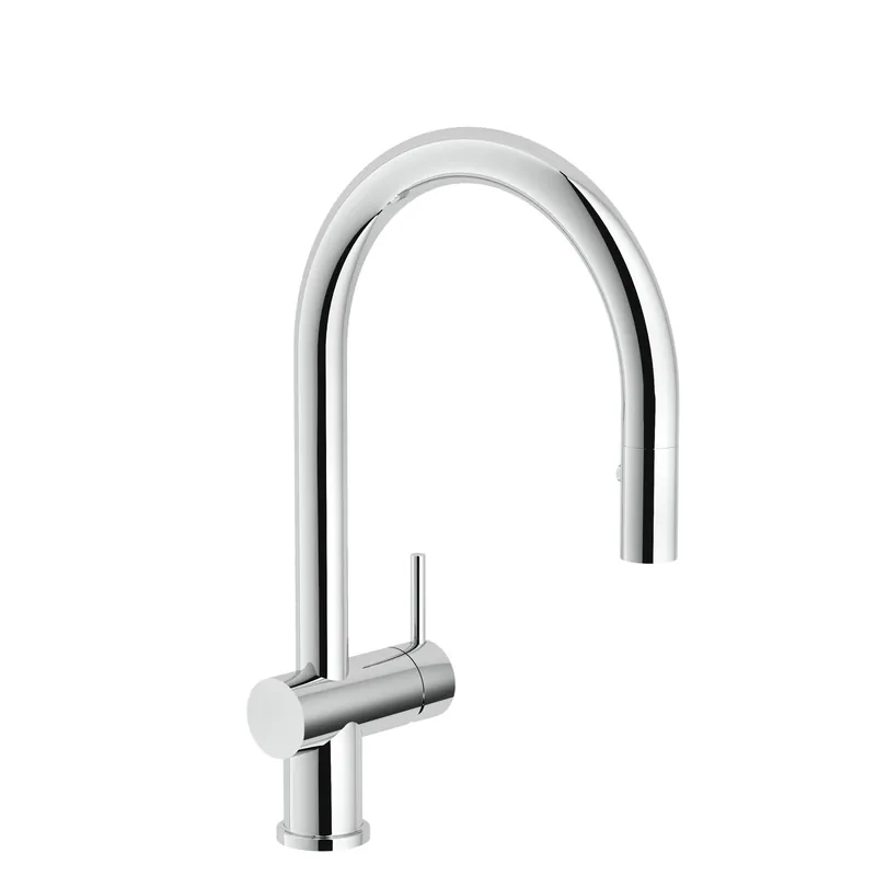 Direct Verzonden Reginox R31650 keukenkraan