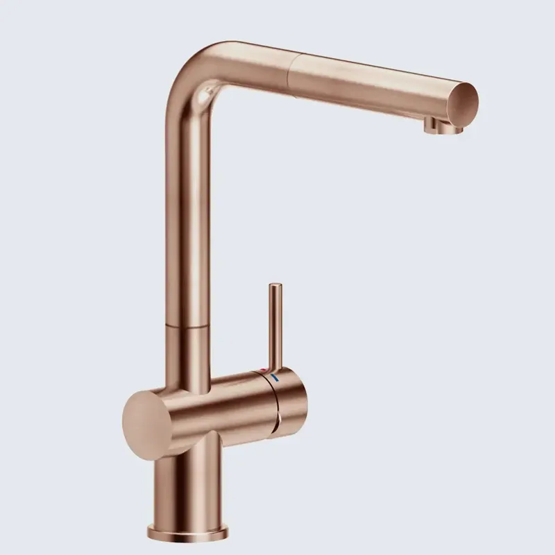 Reginox R35979 keukenkraan Speciale Aanbieding