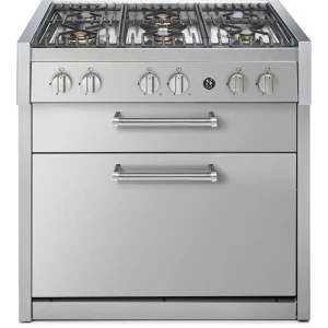 Steel GQ9C-6W fornuis Hoge Kwaliteit